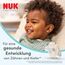 NUK First Choice Perfect Start Babyflaschen Geschenkset für Neugeborene | 0–6 Monate | 4x AntiKolik-Trinkflaschen (150ml, 300ml), 2x Sauger, 1x First Choice Schnuller, 1x Flaschenbürste | Wal- 8 Stück