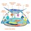 Bright Starts, Disney Baby, Findet Nemo Spieldecke mit Spielbogen, Lichtern und mehr als 20 Minuten Melodien, einer Dorie Fingerpuppe und vielem mehr