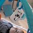 Baby Einstein, 4 in 1 Kickin' Tunes Spieldecke mit 70+ Geräuschen, 25+ Minuten Musik, Erlebnisdecke mit Klavier und Lichtern, Spielmatte mit Spielbogen abnehmbarem Babyspielzeug, ab der Geburt