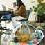 Baby Einstein, 4 in 1 Kickin' Tunes Spieldecke mit 70+ Geräuschen, 25+ Minuten Musik, Erlebnisdecke mit Klavier und Lichtern, Spielmatte mit Spielbogen abnehmbarem Babyspielzeug, ab der Geburt