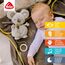 Fehn Spieluhr Baby Einschlafhilfe Koala - Kuscheltier mit sanfter Einschlafhilfe Melodie "Mozarts Wiegenlied" - Babyspielzeug für Unterwegs und Zuhause - Musikspielzeug für Babys und Kleinkinder