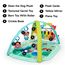 Baby Einstein Farm Explorers 4-in-1 Kickin' Tunes Musical Meadow Musik- & Sprachentdeckungs-Spielbogen, Spielmatte mit Kick-Piano, ab 0 Monaten
