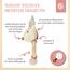 Bieco Holz Greifling Baby Rassel | Ø 10cm, Länge 17cm | Niedliche Reh Babyrassel Baumwolle mit Holz Ring | Baby Greifling Rassel für Junge & Mädchen | Greifling mit Reh Stoffrassel | Greifringe Baby