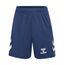 hummel Logo Set Trikot Set Kids orange, 14 (164) Kinder