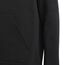 adidas Unisex Kinder Entrada 22 Sweat Hoodie, Black, 152