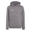 adidas Unisex Kinder Entrada 22 Sweat Hoodie, Team Grey Four, 128