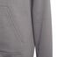 adidas Unisex Kinder Entrada 22 Sweat Hoodie, Team Grey Four, 116