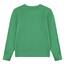 Levi's Kids Lvb batwing crewneck Jungen Green Vif 8 Jahre