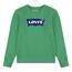 Levi's Kids Lvb batwing crewneck Jungen Green Vif 10 Jahre
