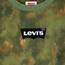 Levi's Langärmeliges T-Shirt mit Fledermausärmeln für Jungen, Calliste Green, 3 Jahre