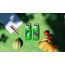 SIGG VIVA ONE Football Kinder Trinkflasche (0.5 L), schadstofffreie Kinderflasche mit auslaufsicherem Deckel, einhändig bedienbare Trinkflasche für Kinder
