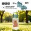 Sigg - Trinkflasche Kinder - Viva One Brown Bear - Für Kohlensäurehaltige Getränke Geeignet - Auslaufsicher - Spülmaschinenfest - BPA-frei - Sport & Schule - Transparent - 0,5L