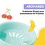 Schmatzfatz Sportflasche, Sportflasche, hält das Wasser kalt, Trinkflaschen, Sport-Wasserflasche für Erwachsene, Herren, Damen und Kinder, BPA-freie Trinkflasche, wasserdicht, auslaufsicher, 350 ml,