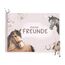mintkind® Schulfreundebuch Pferde G – Freundebuch Grundschule für Mädchen mit handgemalten Illustrationen, 30 Freundeseiten, Geburtstagskalender, Malrätsel, stabiles Hardcover DIN A5 Querformat