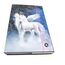 Stabile Kinder Box Sammelbox Heftbox Heftmappe Sammelmappe für Schulranzen Dossier Ordner mit Gummizug Gummiband und Innenklappen DIN A4 für Mädchen (Einhorn Unicorn AA)