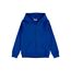 NAME IT Jungen NKMNESWEAT Card W Hood UNB NOOS Hoodie-Jacke, Surf The Web, 158-164