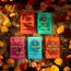 A Court of Thorns and Roses Paperback Box Set (5 books): The first five books of the hottest fantasy series and TikTok sensation