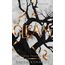 Gleam (The Plated Prisoner Series, Band 3)