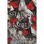 A Shadow in the Ember (Flesh and Fire, Band 1)