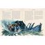 Eragon: Book One (Illustrated Edition) (The Inheritance Cycle, 1)