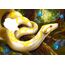 Internat der bösen Tiere, Band 3: Die Reise (Bestseller-Tier-Fantasy ab 10 Jahre) (Internat der bösen Tiere, 3)