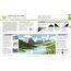 Digital Photography Complete Course: Everything You Need to Know in 20 Weeks