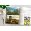 Lonely Planet The Travel Book: A Complete Guide to Every Country in the World with Expert Travel Tips, Stunning Photography, Cultural Insights & Detailed Maps
