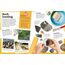My Book of Rocks and Minerals: Things to Find, Collect, and Treasure