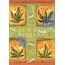 Los Cuatro Acuerdos / The Four Agreements: Una Guia Practica Para LA Libertad Personal (Toltec Wisdom Book)