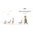 The Little Prince