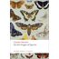 On the Origin of Species (Oxford World’s Classics)