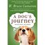 A Dog's Journey
