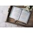 Jesus Calling, Large Text Cloth Botanical, with Full Scriptures: Enjoying Peace in His Presence (A 365-Day Devotional) – The Perfect Mother’s Day Gift for Christian Moms