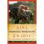 Nine Medieval Romances of Magic: Re-Rhymed in Modern English