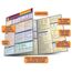 Spanish Grammar: a QuickStudy Laminated Reference Guide