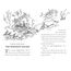 The Twits: Roald Dahl