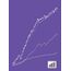 Berkshire Hathaway Letters to Shareholders: 1965-2024