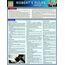 Robert's Rules of Order: QuickStudy Laminated Reference Guide