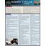 Robert's Rules of Order: QuickStudy Laminated Reference Guide