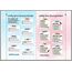 Cluttered Mess to Organized Success Workbook: Declutter and Organize your Home and Life with over 100 Checklists and Worksheets (Plus Free Full Downloads) (Home Decorating Journal) (Clutterbug)