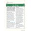 Functional Skills English Level 2 - Study & Test Practice (CGP Functional Skills)