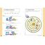My Phonics Workbook: 101 Games and Activities to Support Reading Skills (My Workbook)