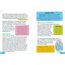 Everything You Need to Ace American History in One Big Fat Notebook: The Complete Middle School Study Guide (Big Fat Notebooks)