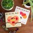 Besos for Baby: A Little Book of Kisses (Little Libros of Love, 1)