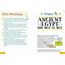 Everything You Need to Ace World History in One Big Fat Notebook: The Complete Middle School Study Guide (Big Fat Notebooks)