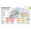 How the Brain Works: The Facts Visually Explained (How Things Work)