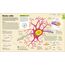 How the Brain Works: The Facts Visually Explained (How Things Work)
