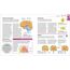 How the Brain Works: The Facts Visually Explained (How Things Work)