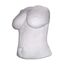 Das Geschenk für Verliebte, Valentinstag, Jahrestag, Bodyabdruck Set, Gipsabdruck von Brust oder Po, Gipsabdruck Oberkörper,