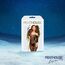 EIS Deluxe erotischer Adventskalender 2025 für Erwachsene Singles und Paare | 24 sinnliche Sex Geschenke inkl. Satisfyer & FUN FACTORY Sexspielzeuge & Erotik Überraschungen | Warenwert 650€